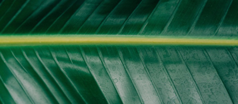 Che cos’è la sostenibilità?