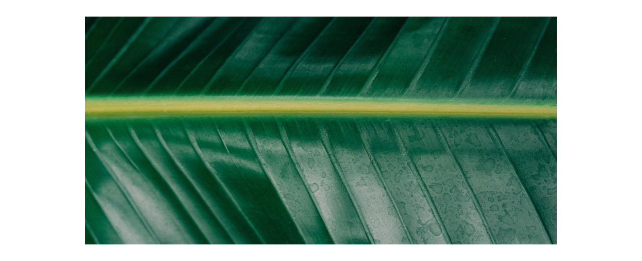 Che cos’è la sostenibilità?